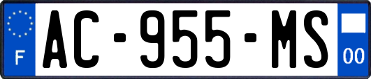 AC-955-MS