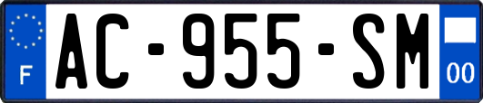 AC-955-SM