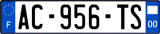 AC-956-TS
