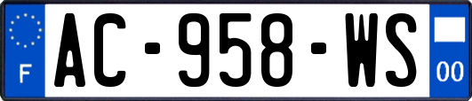 AC-958-WS