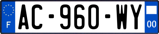 AC-960-WY