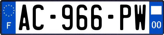 AC-966-PW