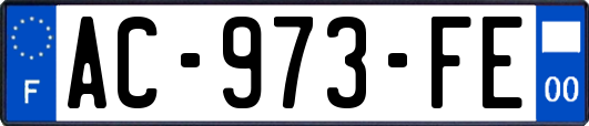 AC-973-FE
