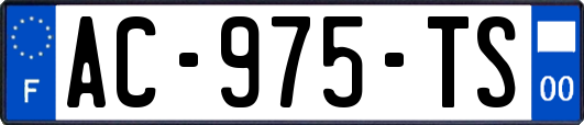 AC-975-TS