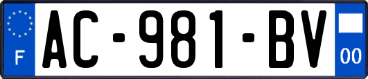 AC-981-BV