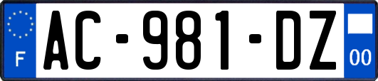 AC-981-DZ