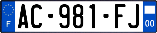 AC-981-FJ