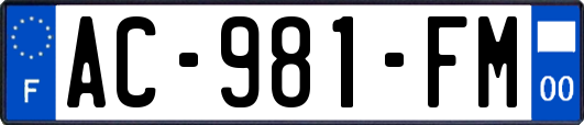 AC-981-FM