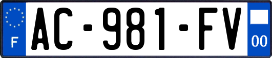 AC-981-FV