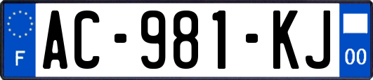 AC-981-KJ