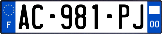 AC-981-PJ