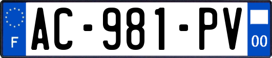 AC-981-PV
