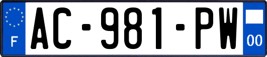 AC-981-PW
