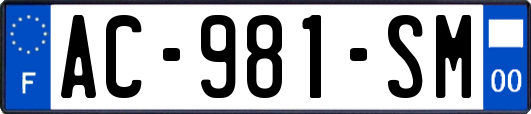 AC-981-SM