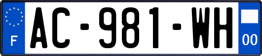 AC-981-WH
