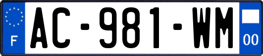 AC-981-WM