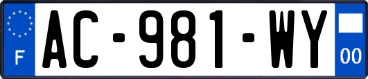 AC-981-WY