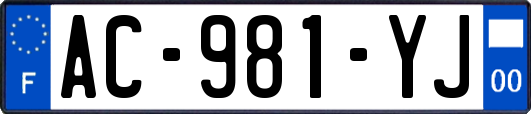 AC-981-YJ