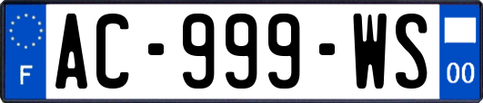 AC-999-WS