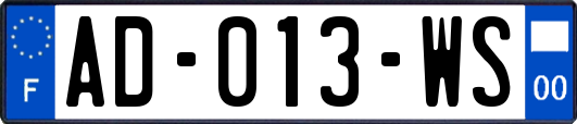 AD-013-WS