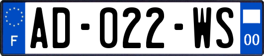 AD-022-WS