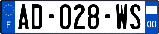 AD-028-WS