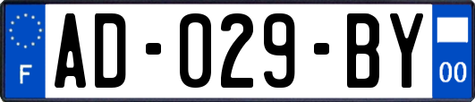 AD-029-BY