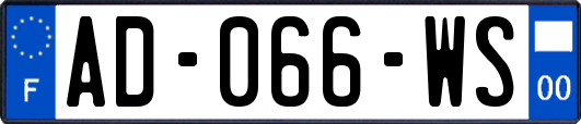 AD-066-WS