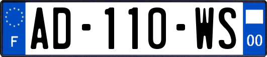 AD-110-WS
