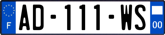 AD-111-WS