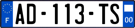 AD-113-TS