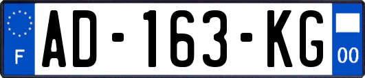 AD-163-KG