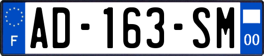 AD-163-SM