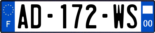 AD-172-WS