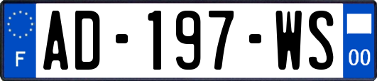 AD-197-WS