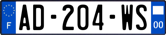 AD-204-WS