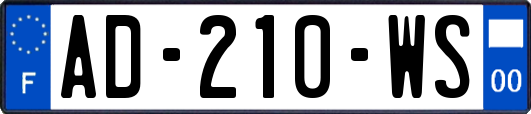 AD-210-WS