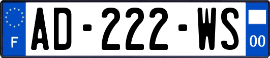AD-222-WS