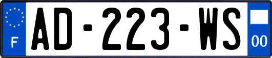 AD-223-WS