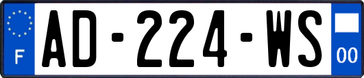 AD-224-WS