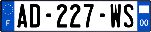 AD-227-WS