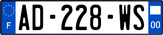 AD-228-WS