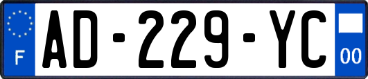 AD-229-YC