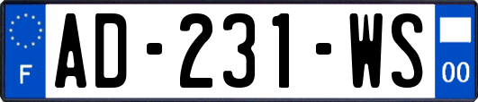 AD-231-WS