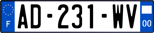 AD-231-WV