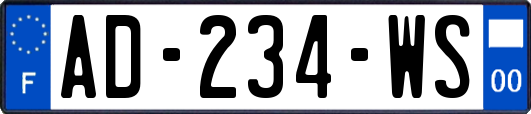 AD-234-WS
