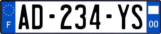 AD-234-YS