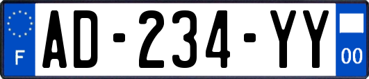 AD-234-YY