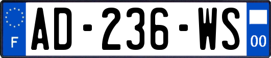 AD-236-WS