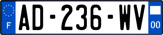 AD-236-WV